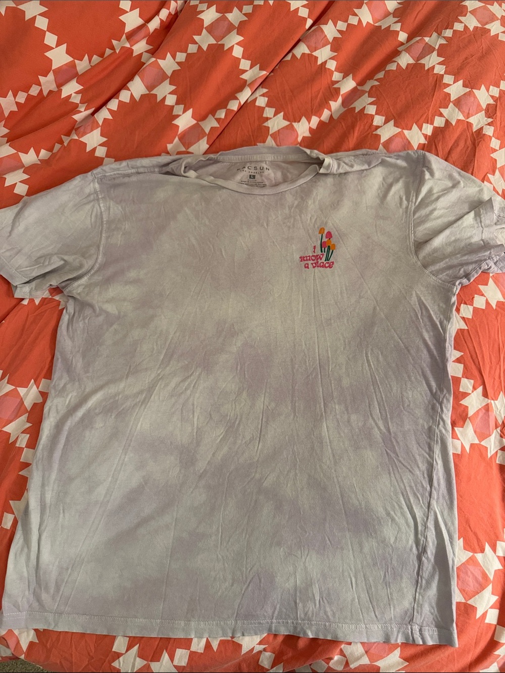 PacSun Light Lavender Crew Neck Tee with Subtle Logo Print